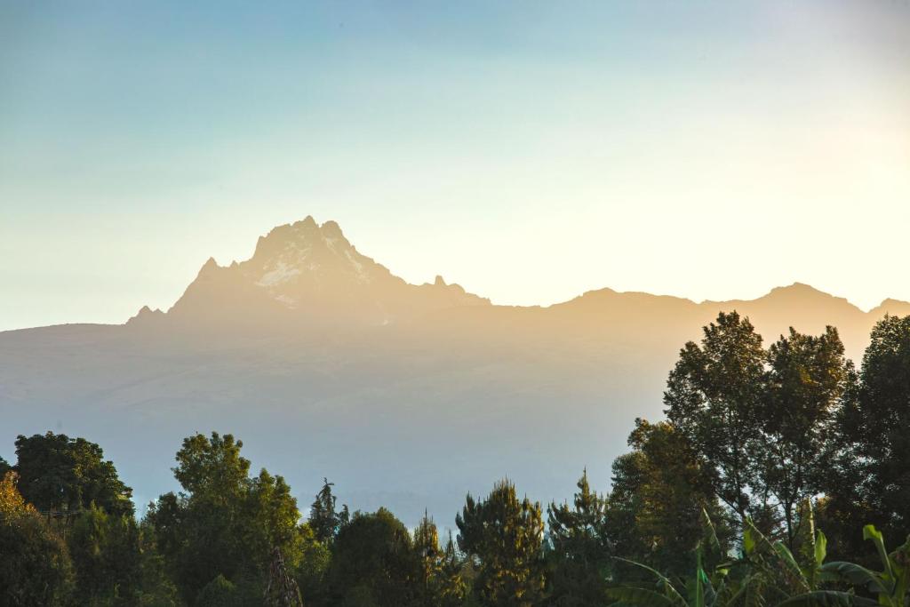 Natuurlandschap vlak bij de lodge