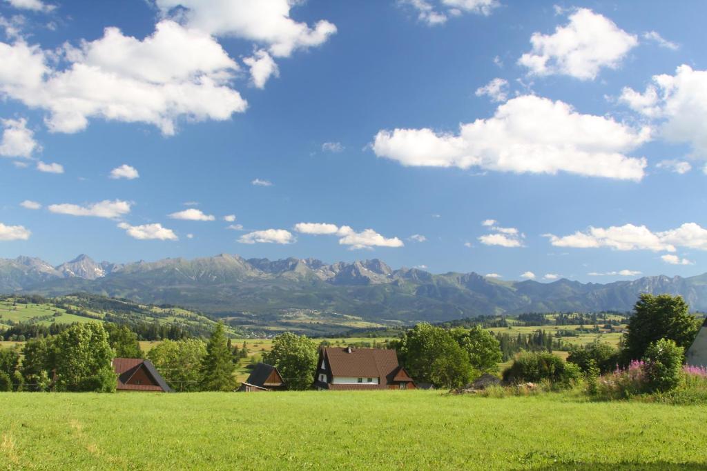a green field with mountains in the background at U Repy in Bańska