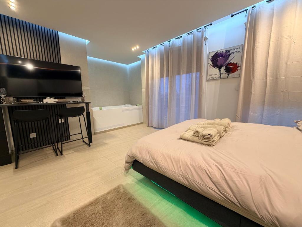 a bedroom with a bed and a flat screen tv at Soft Touch House in Strasbourg