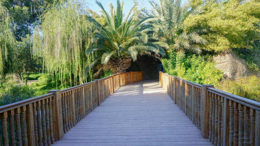 a wooden bridge with a palm tree on it at Agadir Gardens Center Hotel in Agadir