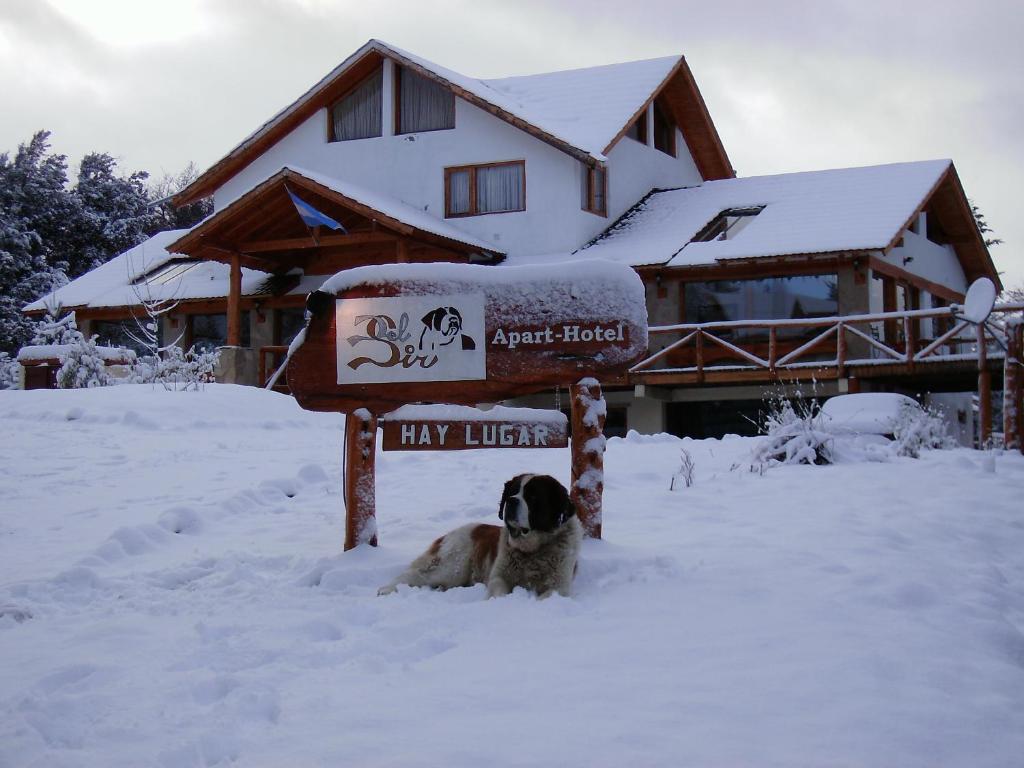 um cão sentado na neve em frente a uma placa em Apart Hotel y Hosteria del Sir em Villa La Angostura