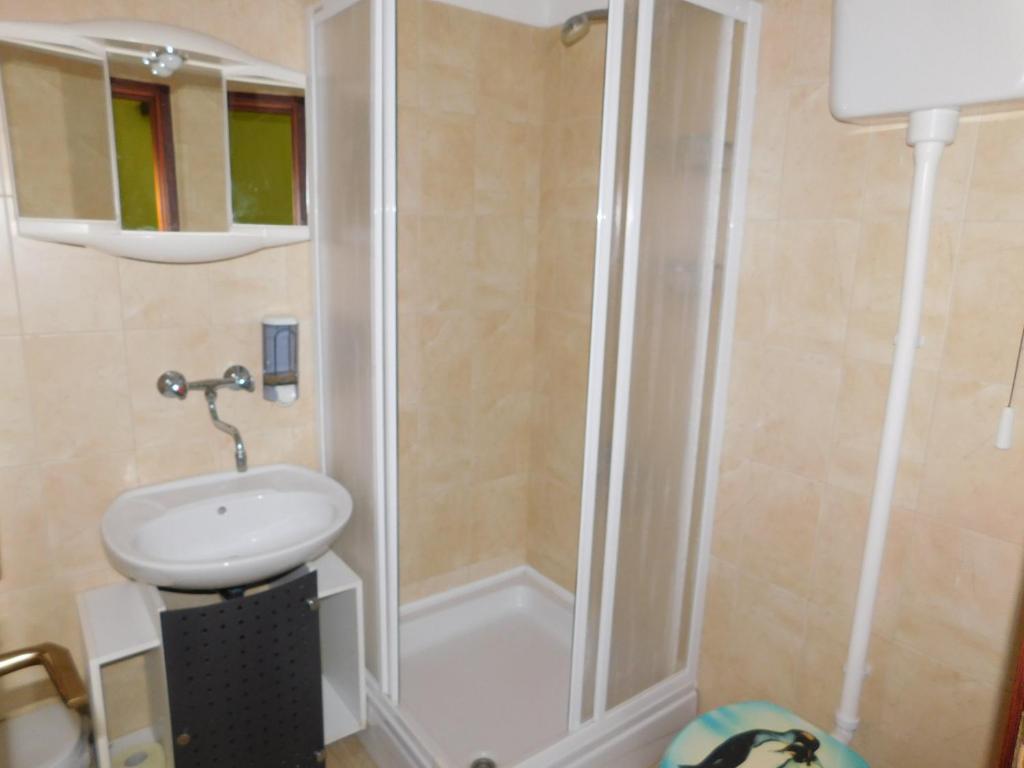 Koupelna v ubytování Apartments Leo Janjina