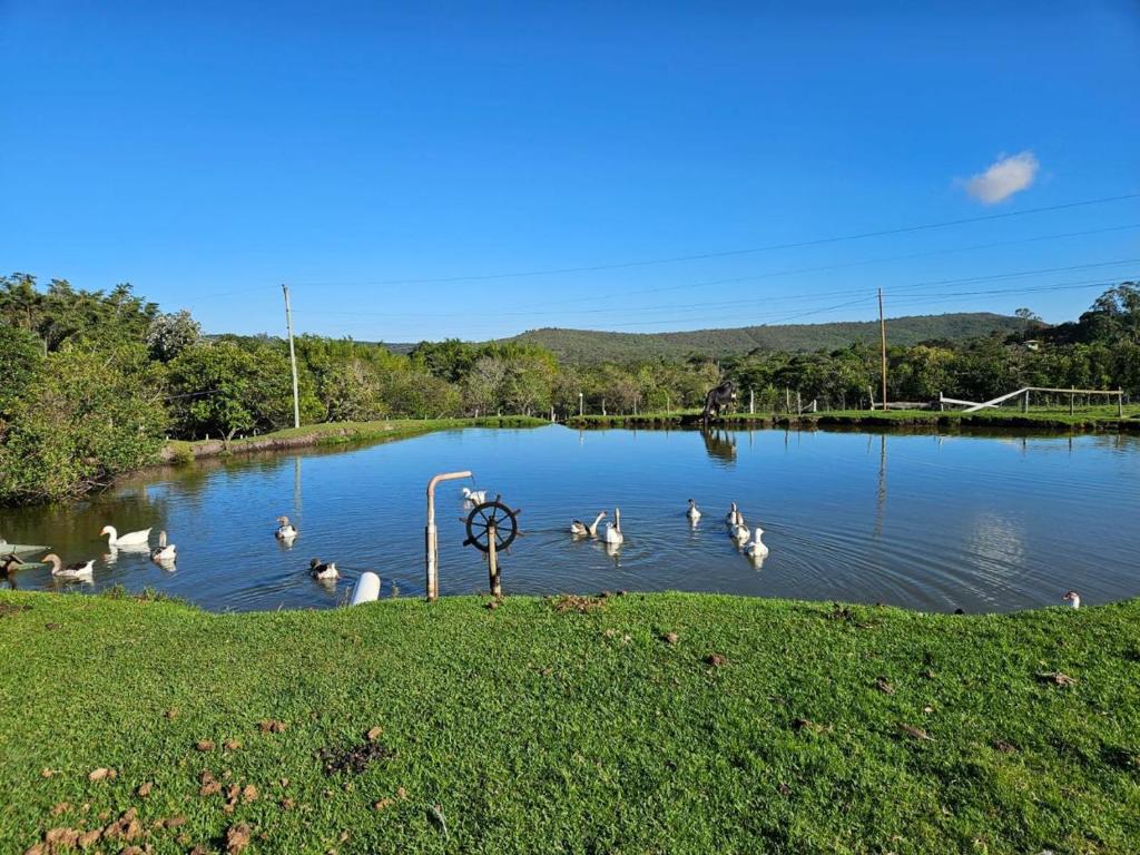 Příroda nedaleko chaty