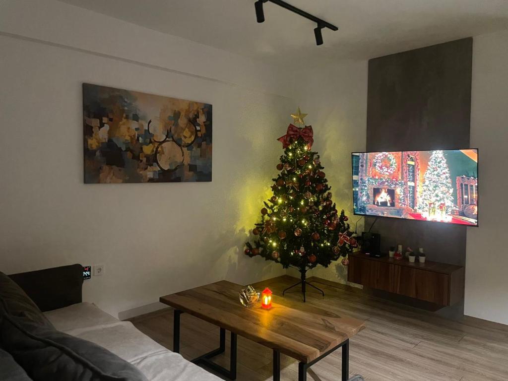 Televiisor ja/või meelelahutuskeskus majutusasutuses NovAS Apartment