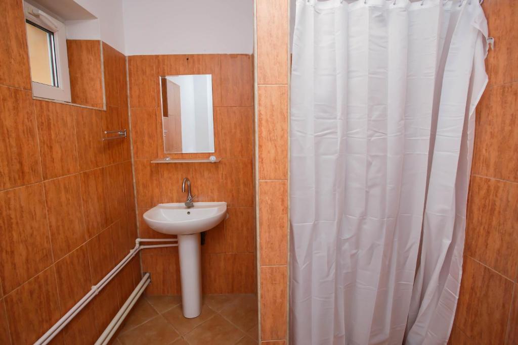 un bagno con lavandino e tenda da doccia di Casa Andrea a Otopeni
