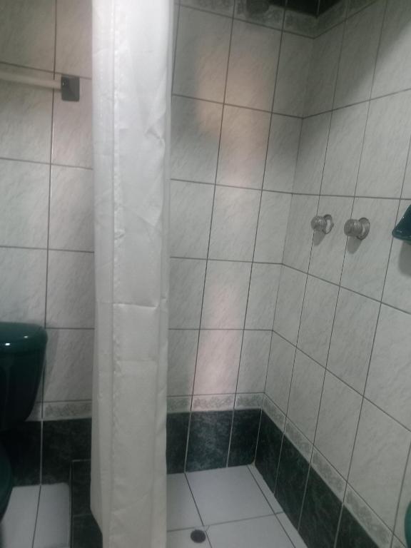 a bathroom with a shower with a toilet at Pirqainn in Puno