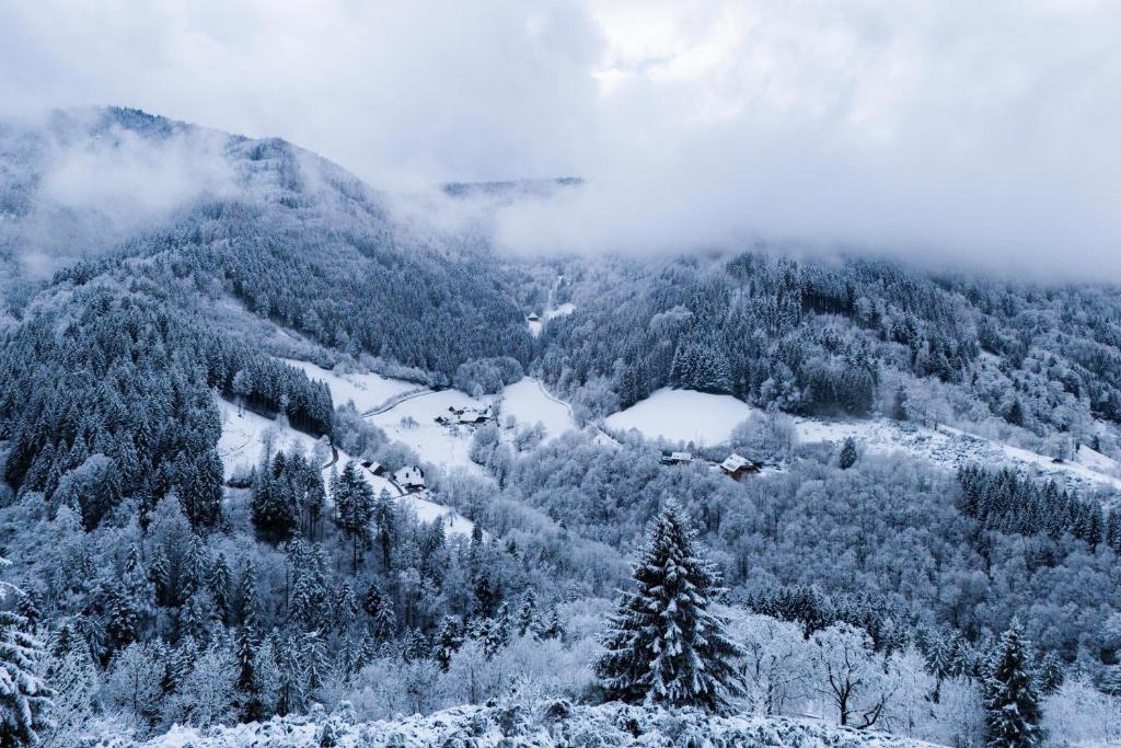 Haldenschwarzhof om vinteren