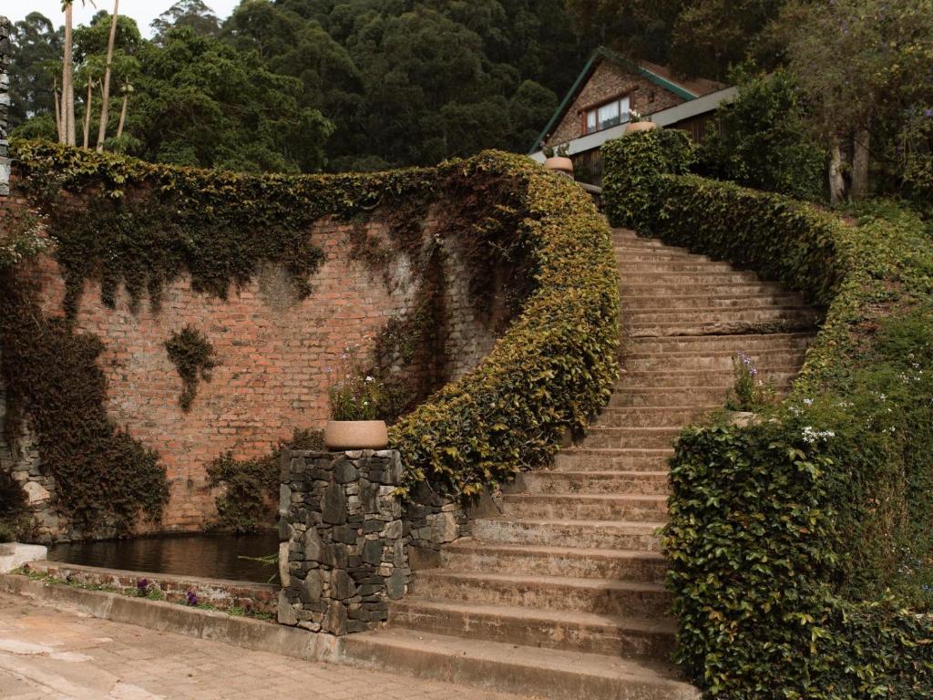 Fotografie z fotogalerie ubytování Magoebaskloof Mountain Estate v destinaci Tzaneen