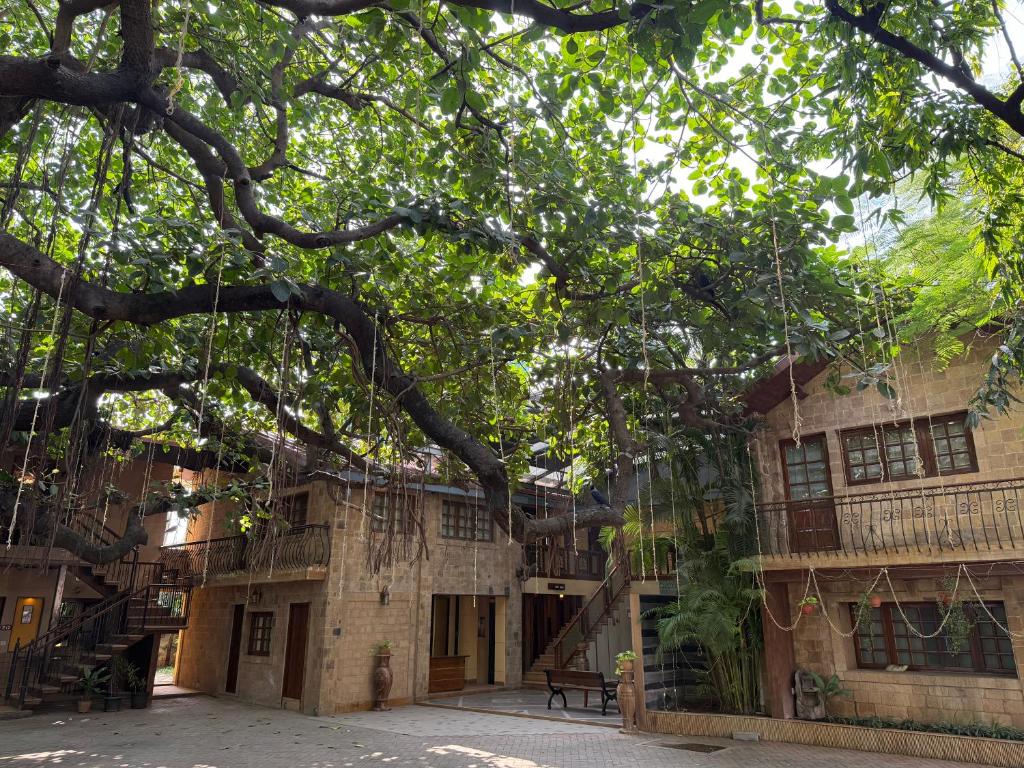 امکانات بیچ گاردن - تصویر ۴