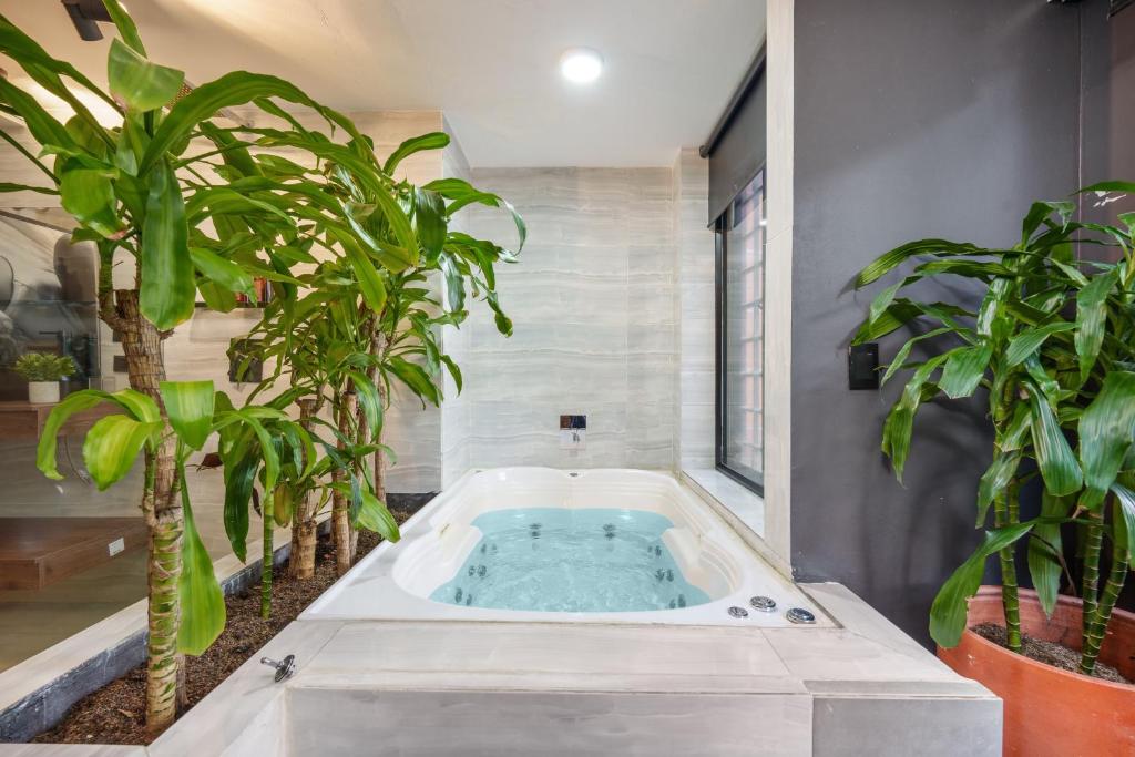 Billede fra billedgalleriet på Lleras Vibex Party i Medellín