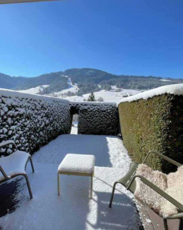 a snowy patio with two chairs and a bench at Charming studio with terrace and garden in Praz-sur-Arly