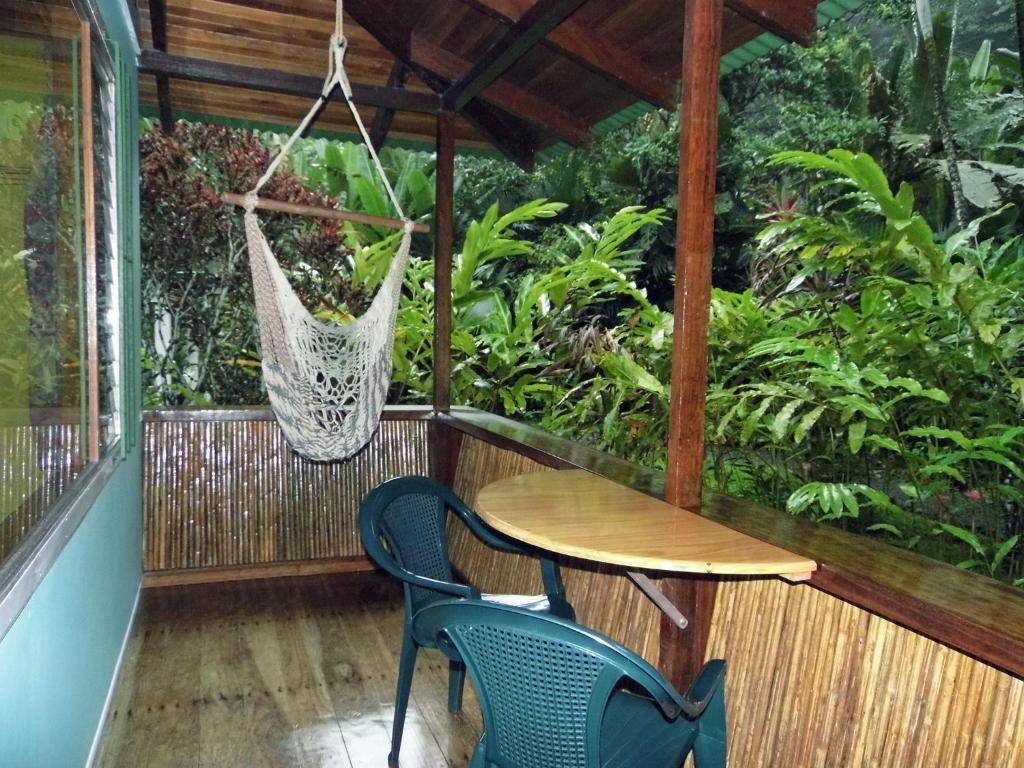 Zahrada ubytování El Colibri Lodge