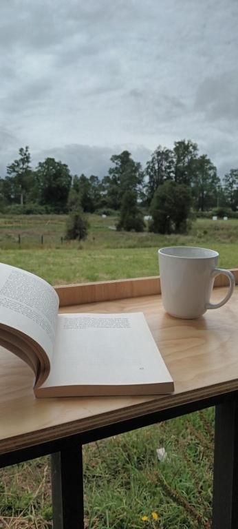 Billede fra billedgalleriet på CasaGolondrina, naturaleza, aves cerca de Frutillar i Llanquihue