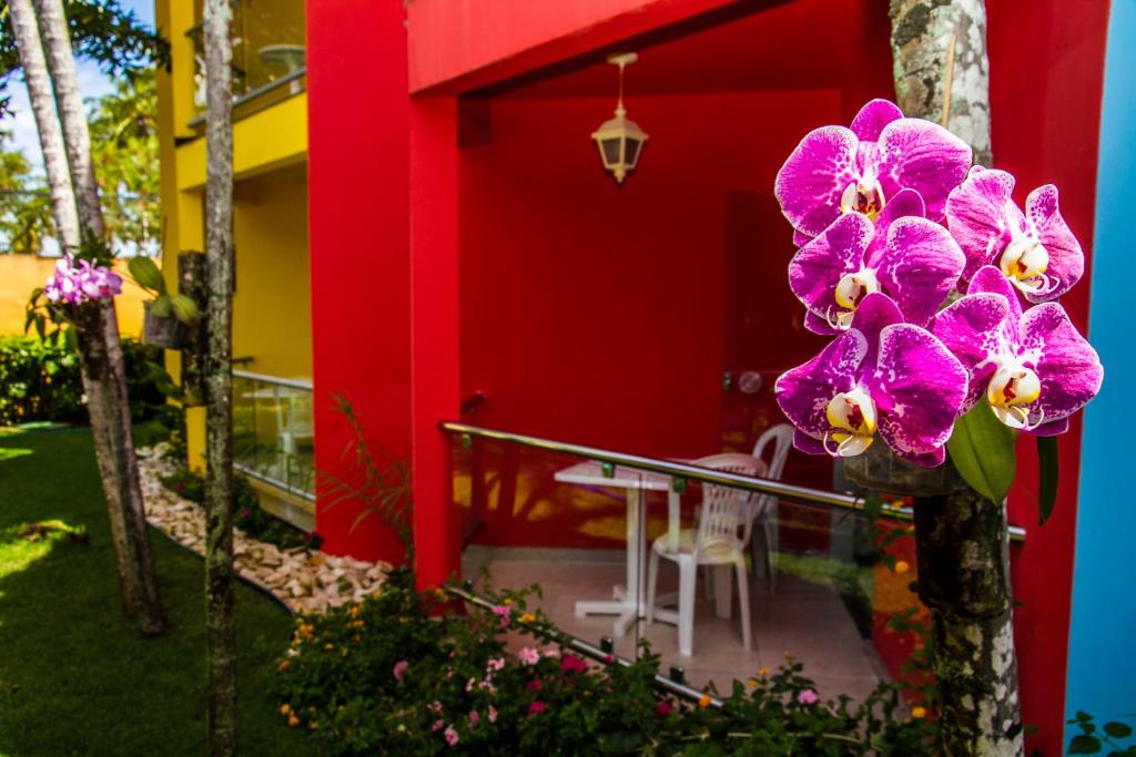  Hotel Girassol All Inclusive