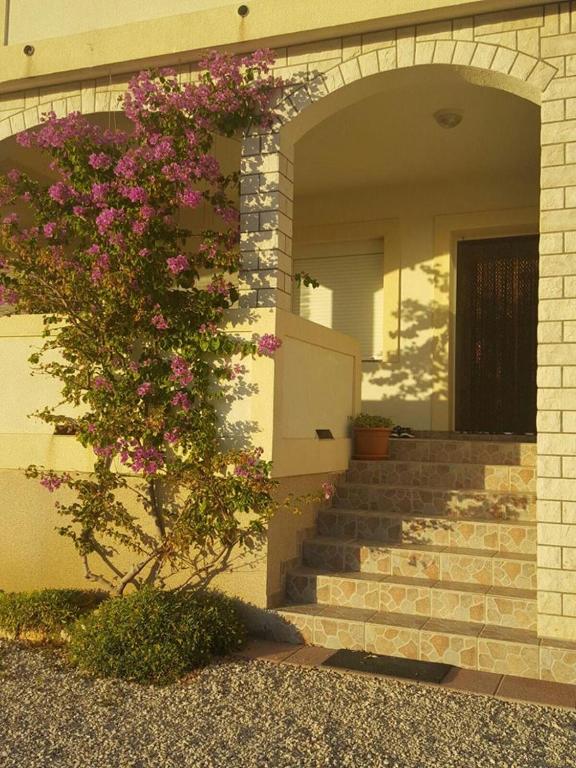 Fotografie z fotogalerie ubytování Apartmani Luka v destinaci Zubovići