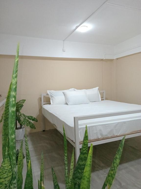 Gallery image of Tranquil Nest HOMESTAY in Sibsāgar