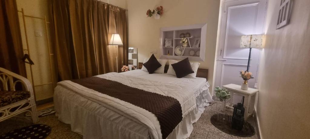 a bedroom with a large bed in a room at The Moonvale Cottage A Victorian Theme Independent Homestay! in Chandīgarh