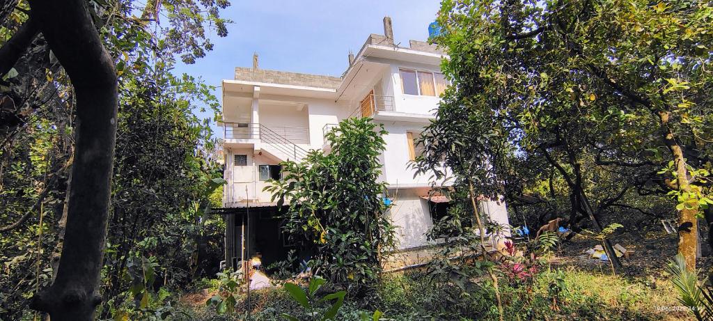 En have udenfor Manshi Guest House