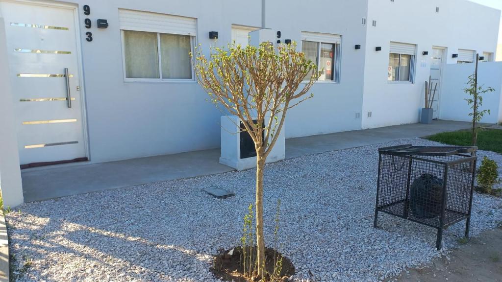 ein kleiner Baum auf einer Kiesfläche neben einem Gebäude in der Unterkunft Departamento NAMASTE I in Carhué