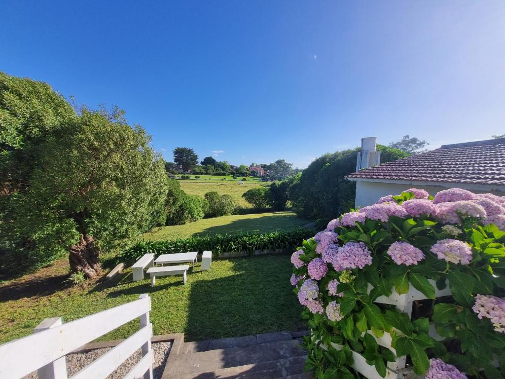 einen Garten mit zwei Bänken und lila Blumen in der Unterkunft Surf House Casa Tony Aloha Host in La Estafeta