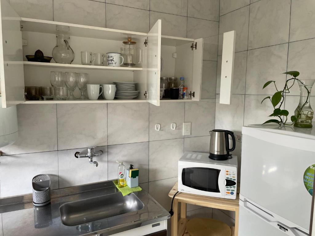 una cucina con lavello e microonde di Altos Jujuy 2 a San Salvador de Jujuy