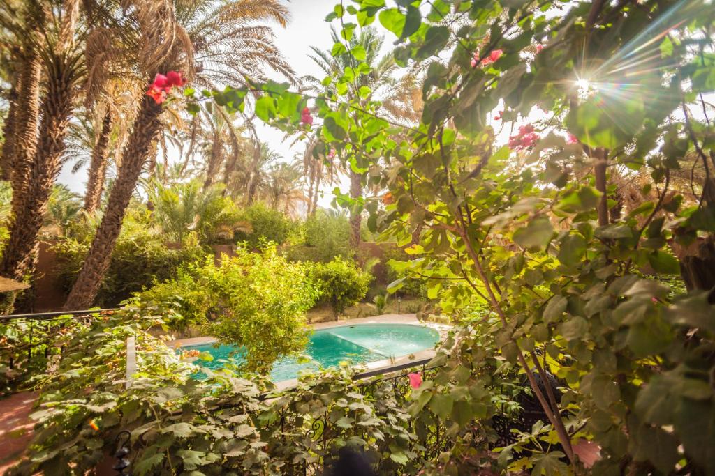 Zahrada ubytování Riad Soleil du Monde