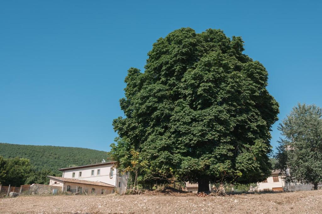 Country House Il Vecchio Ippocastano