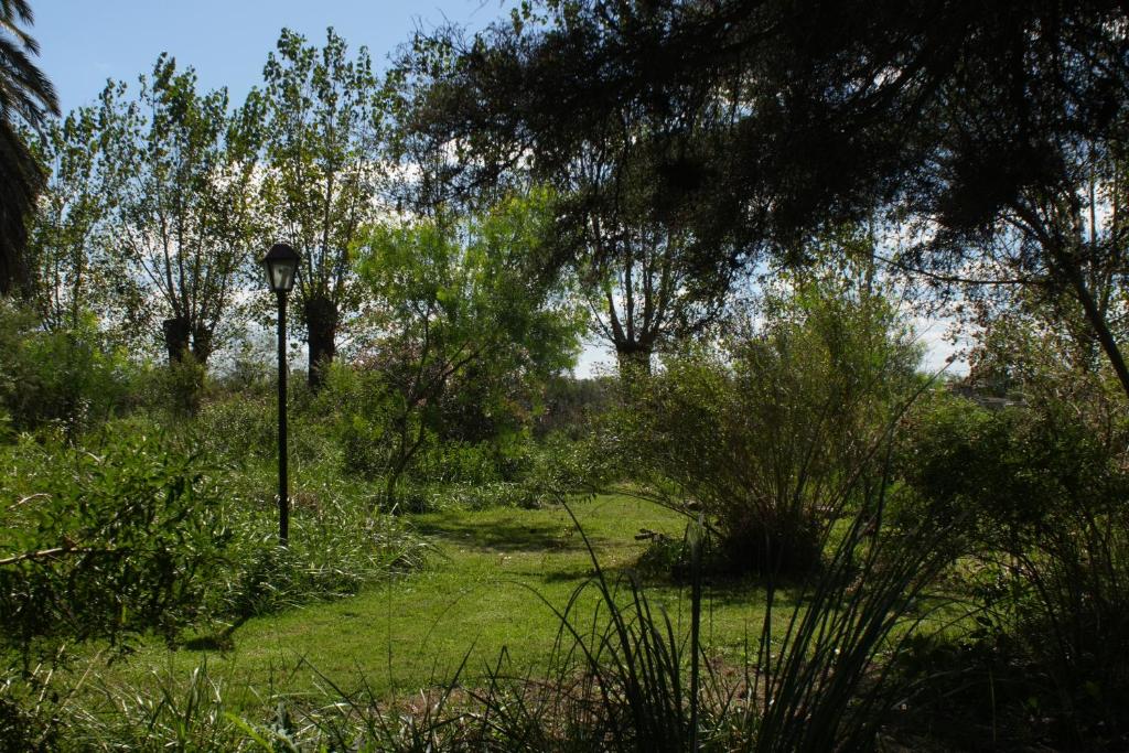 een lantaarnpaal midden in een veld met bomen bij La Paz suites de campo in Capilla del Señor