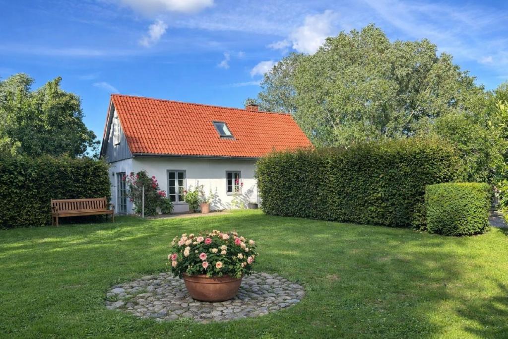 een klein wit huis met een oranje dak bij Kembser Kate - Ostholstein - NEU! in Behrensdorf