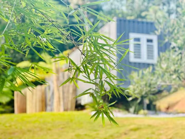 a tree branch with a house in the background at Casa Vagon Isla Bendita in La Gonzalez
