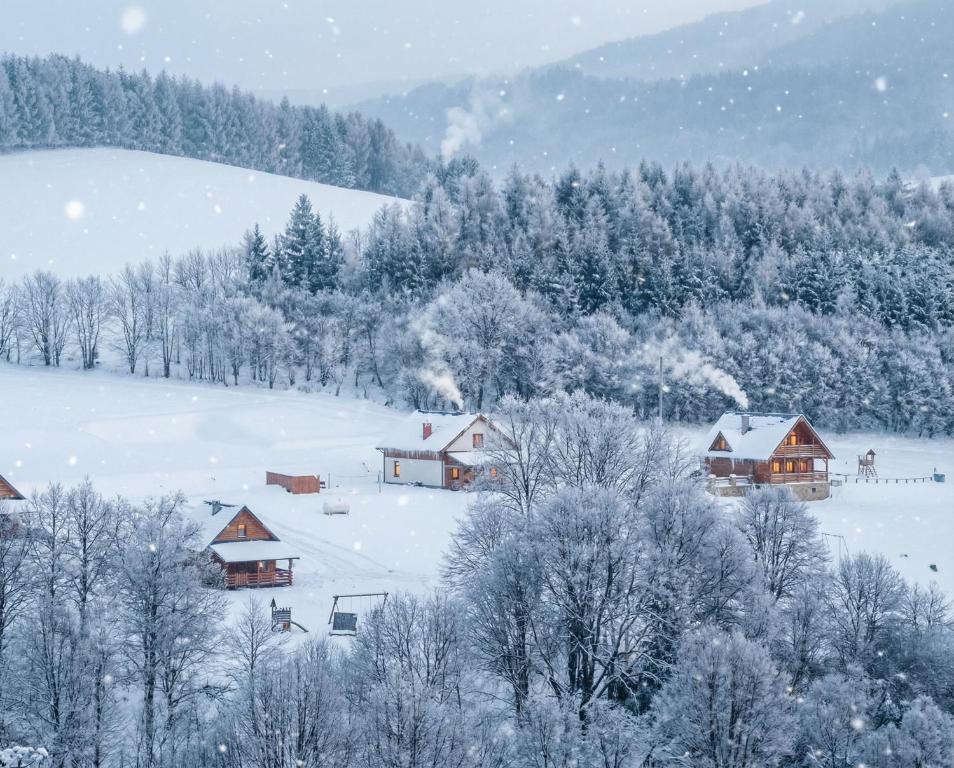 Το Bieszczady Żubrowe Wzgórze 785-049-543 τον χειμώνα