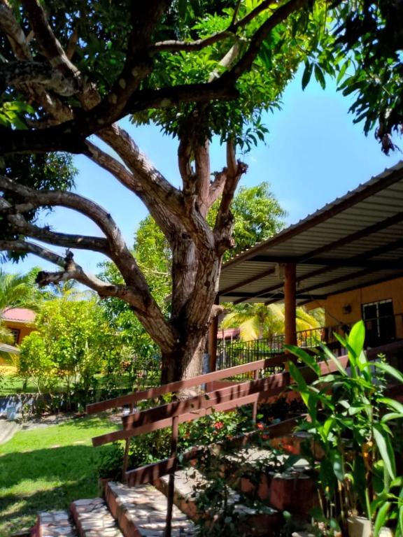 een houten bank zittend onder een boom in een tuin bij La casa de Sonia in El Perico