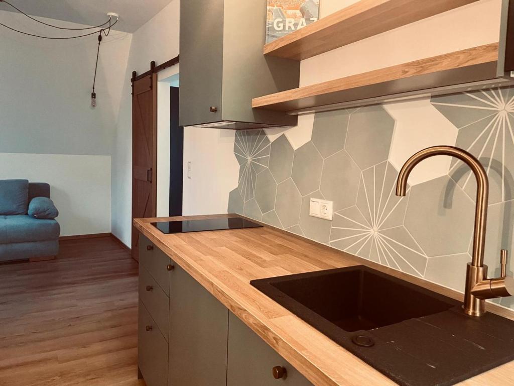 een keuken met een spoelbak en een aanrechtblad bij Geidorf Residenz - Serviced Apartments & Parking in Graz
