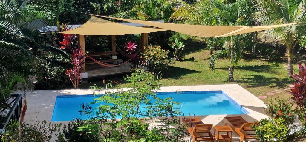 Fotografie z fotogalerie ubytování Apartamento Lora-Verde v destinaci Montezuma