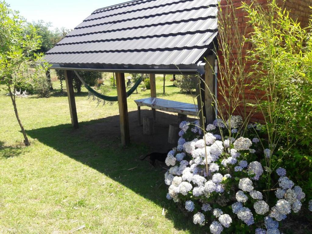 Vườn quanh Cabañas atardecer soñado