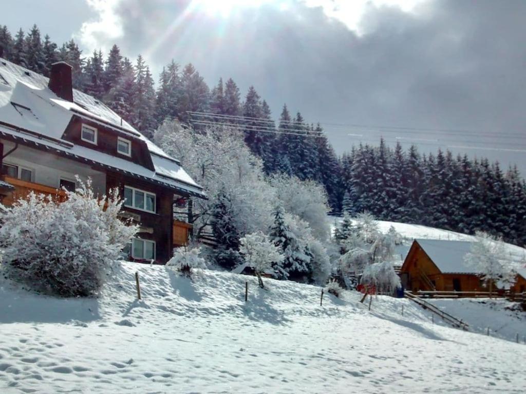 een huis in een met sneeuw bedekt veld met bomen bij Haldenhäusle Black Forest in Oberschwärzenbach
