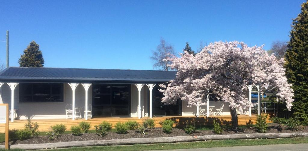 a house with a flowering tree in front of it at Milford Road Apartments in Te Anau