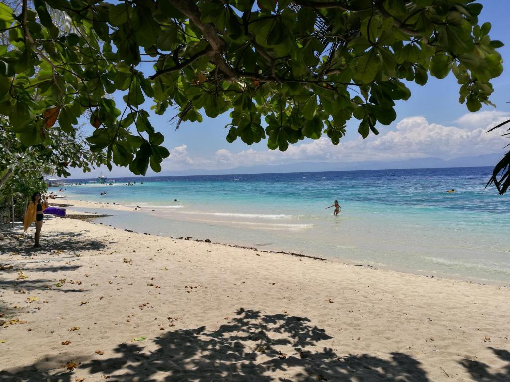Ravenala Beach Bungalows, Moalboal