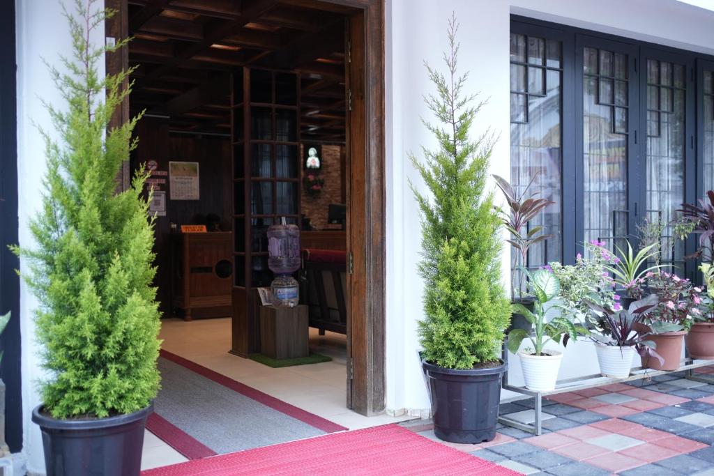 un gruppo di piante in vaso di fronte a un edificio di Thekkady Arasi Hotel a Thekkady