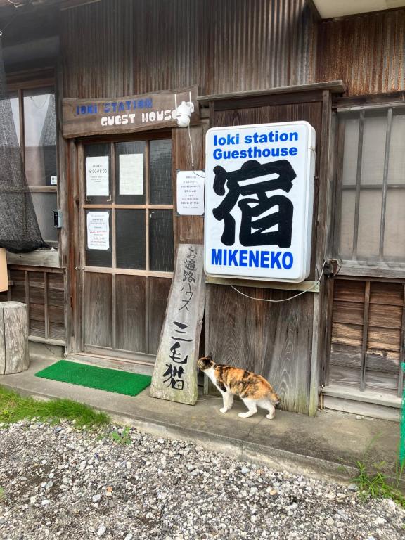 Domácí mazlíčci ubytovaní s hosty v ubytování Ioki Station Guest House
