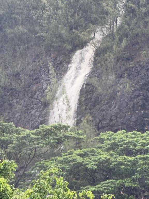 Lemon House Huahine, Maroe - photo 11 - Huahine, Polynésie