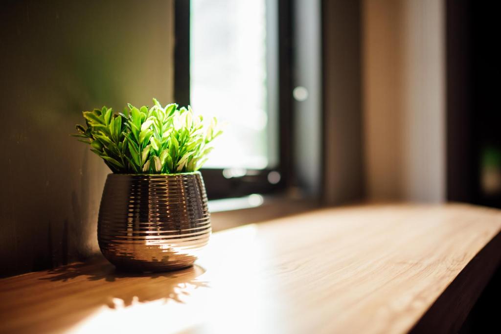 Le Terrarium Bed & Sleep Chiang Rai - Resim 42