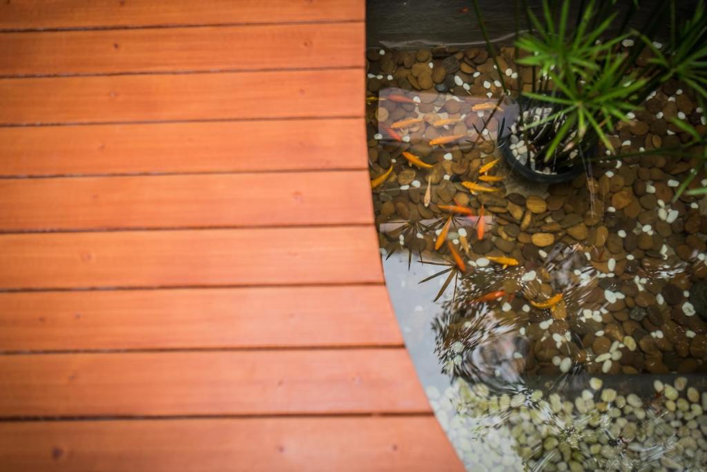 Le Terrarium Bed & Sleep Chiang Rai - Resim 38