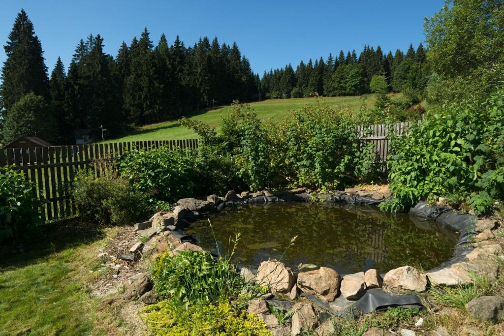 Příroda nedaleko apartmánu
