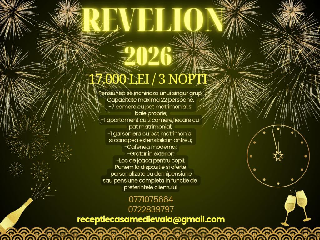 阿尔杰什河畔库尔泰亚Boutique Hotel Casa Medievala的一张新年烟花宣传单