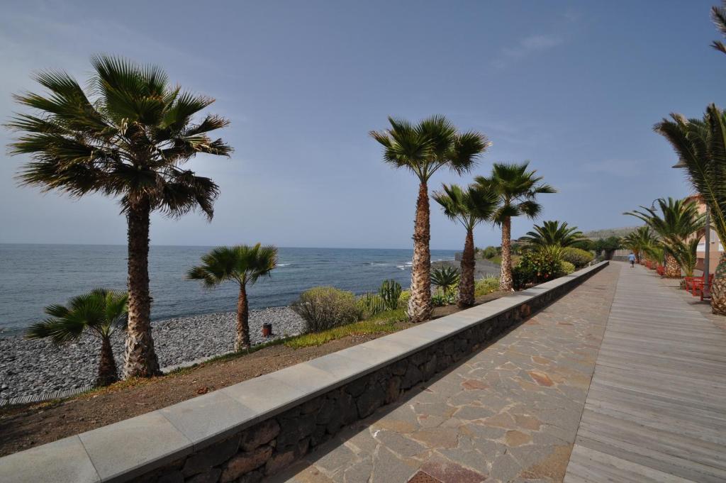 a sidewalk with palm trees next to the ocean at Almar Apartment in Caleta de Interián