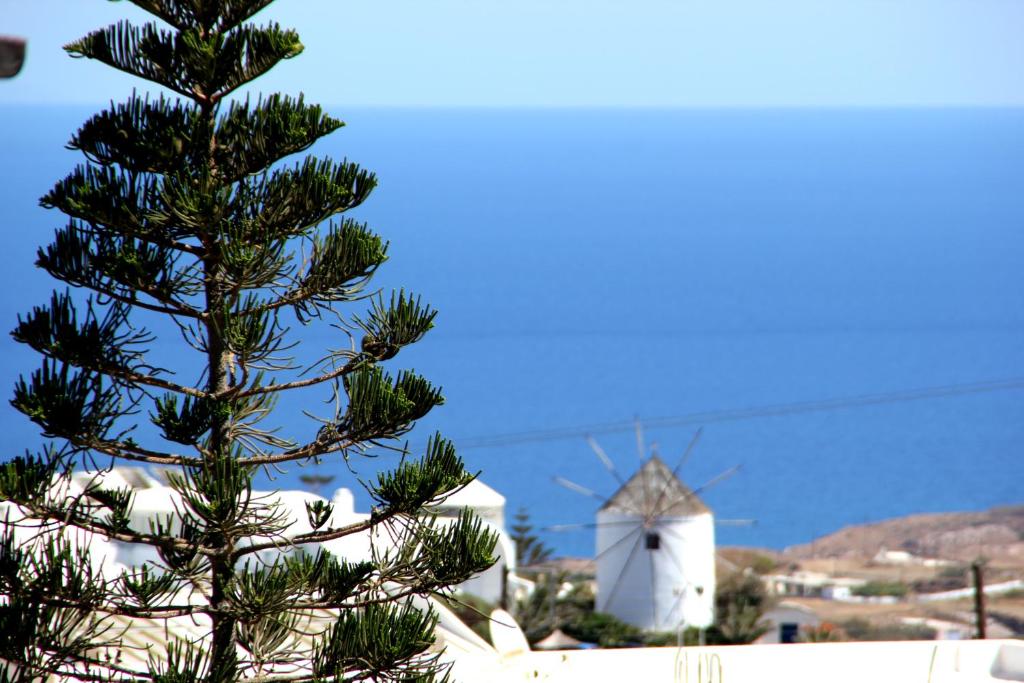 Evgenia Villas & Suites by Calm Collection - 6