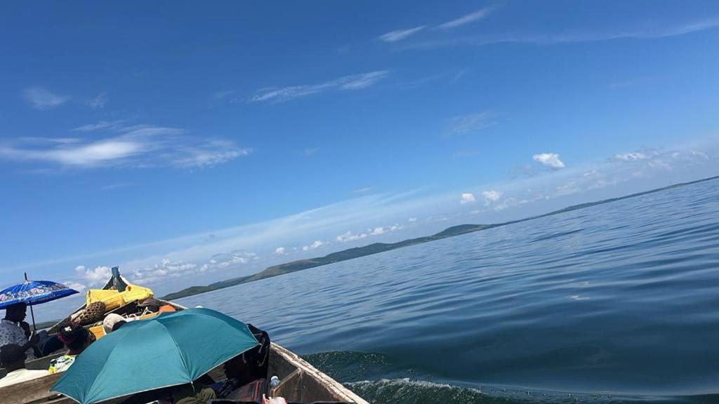 Příroda nedaleko kempu