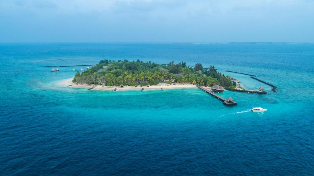 Taj Coral Reef Resort & Spa,Maldives - Premium All Inclusive with Free Transfers - View 5