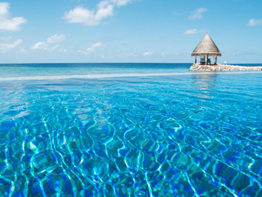 Taj Coral Reef Resort & Spa,Maldives - Premium All Inclusive with Free Transfers - View 8